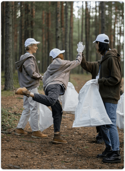 Forest Revival 1